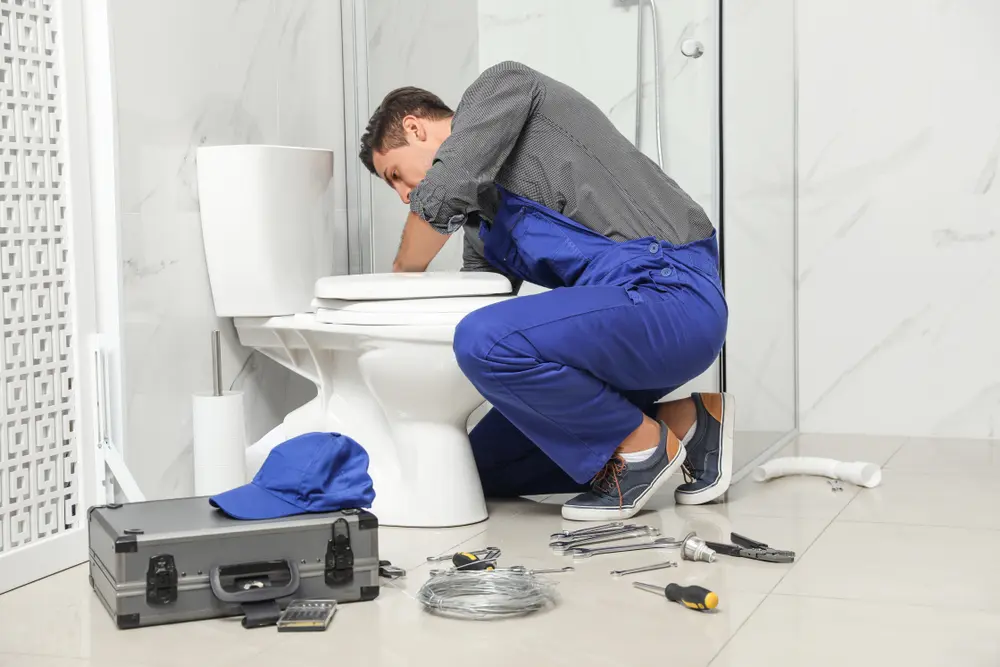 Toilet Repair in Moreland